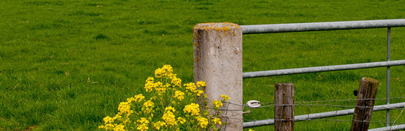 Routering Landbouwverkeer